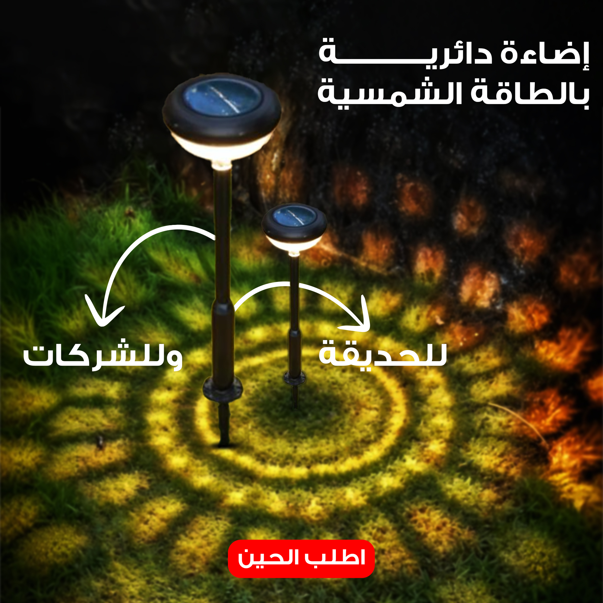 https://media.taager.com/08ba6e0a-bc65-424a-a12a-95062141bf71.jpg