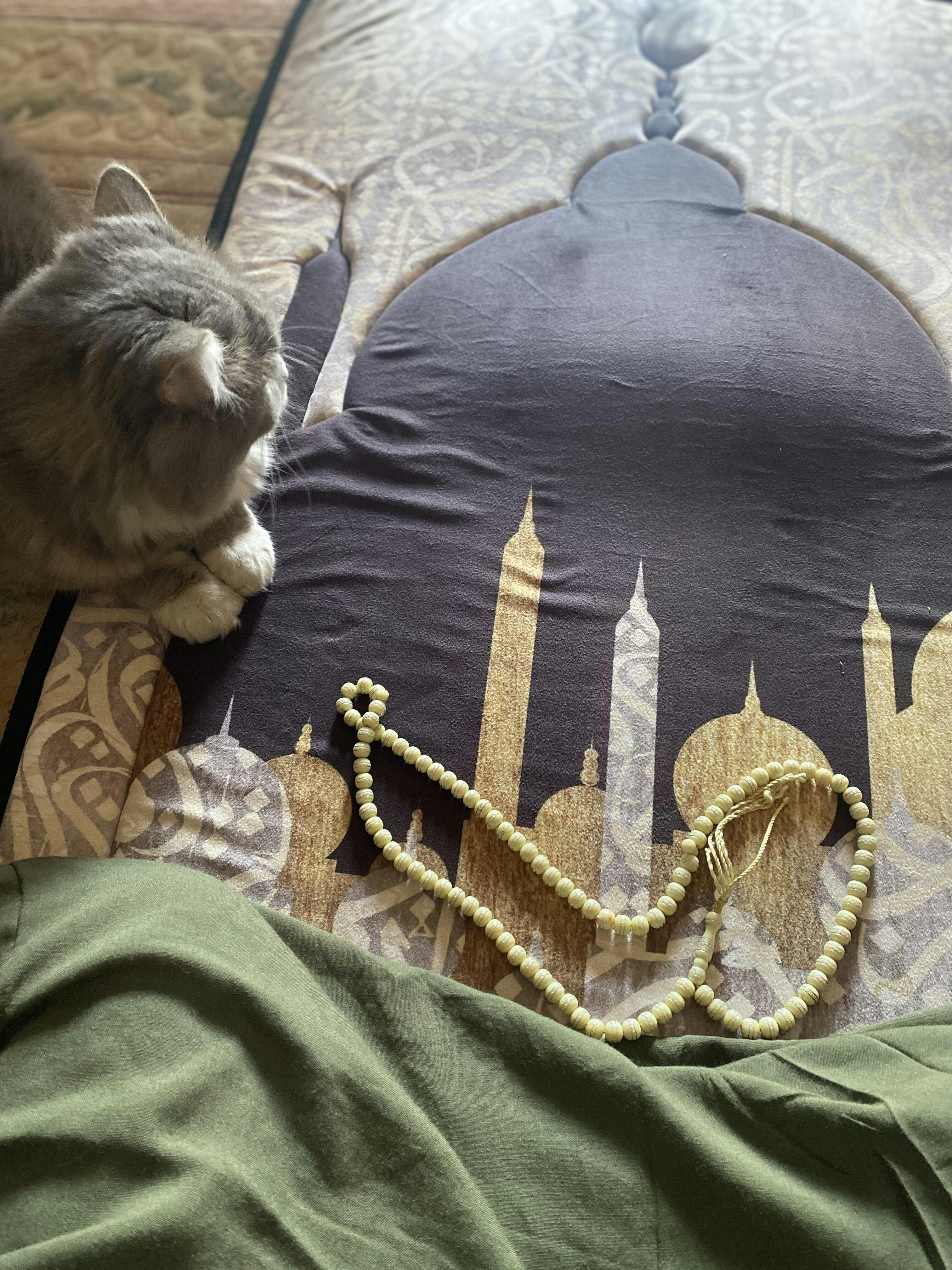 عرض مصلية مبطنة مانعة للانزلاق كبيرة+كرسى الصلاة