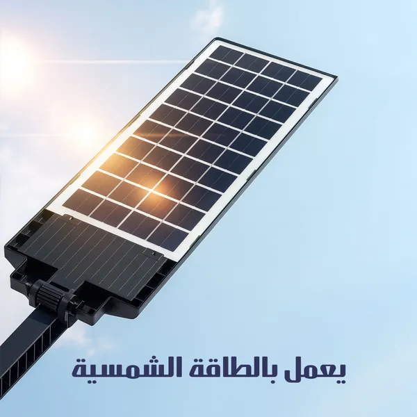 كشاف دينكس الأكبر حجما ضمان عاميين