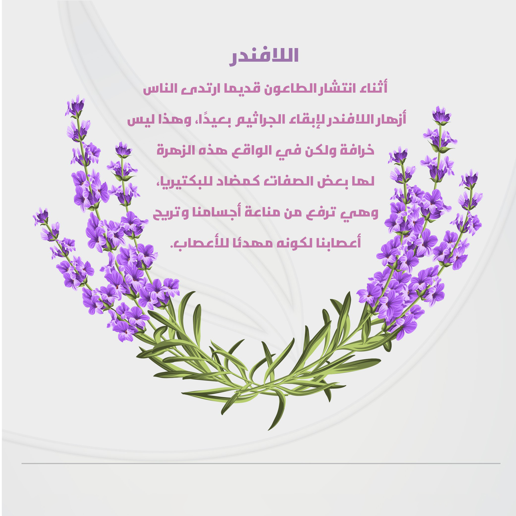 https://media.taager.com/6c99c93f-32d3-4695-82d6-f1665ecf9b6f.png